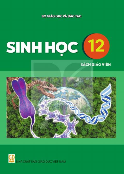 Sách giáo viên Sinh học 12 - Kết nối tri thức 2026-2027